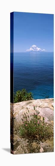 Plants Growing on the Rocks on North Island with Praslin Island in the Background, Seychelles-null-Stretched Canvas