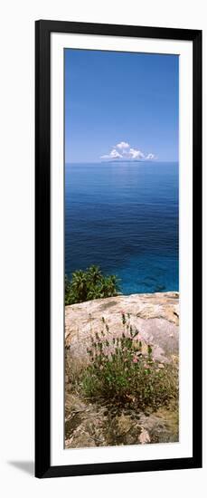 Plants Growing on the Rocks on North Island with Praslin Island in the Background, Seychelles-null-Framed Photographic Print