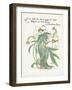 Plants, Helleborus Niger-Walter Crane-Framed Art Print