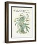 Plants, Helleborus Niger-Walter Crane-Framed Art Print