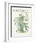 Plants, Helleborus Niger-Walter Crane-Framed Art Print