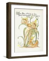 Plants, Hemerocallis Spec-Walter Crane-Framed Art Print