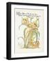 Plants, Hemerocallis Spec-Walter Crane-Framed Art Print