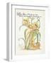 Plants, Hemerocallis Spec-Walter Crane-Framed Art Print