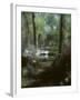 Plants in a Garden-null-Framed Photographic Print