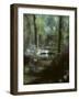 Plants in a Garden-null-Framed Photographic Print