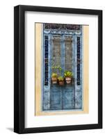 Plants in pots hanging on ornate doorway, Havana, Cuba, West Indies, Central America-Ed Hasler-Framed Photographic Print