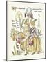 Plants, Iris-Walter Crane-Mounted Art Print
