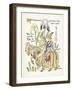 Plants, Iris-Walter Crane-Framed Art Print