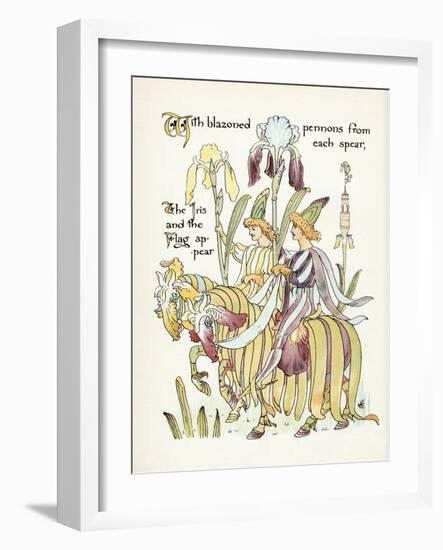 Plants, Iris-Walter Crane-Framed Art Print