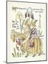 Plants, Iris-Walter Crane-Mounted Art Print