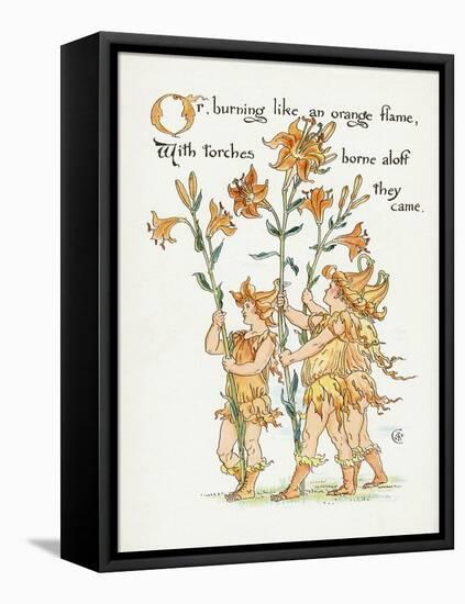 Plants, Lilium Species-Walter Crane-Framed Stretched Canvas