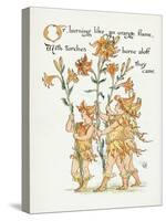 Plants, Lilium Species-Walter Crane-Stretched Canvas