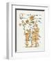 Plants, Lilium Species-Walter Crane-Framed Art Print