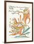 Plants, Lilium Tigrinum-Walter Crane-Framed Art Print