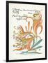 Plants, Lilium Tigrinum-Walter Crane-Framed Art Print