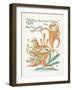 Plants, Lilium Tigrinum-Walter Crane-Framed Art Print