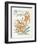 Plants, Lilium Tigrinum-Walter Crane-Framed Art Print