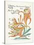 Plants, Lilium Tigrinum-Walter Crane-Stretched Canvas