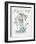 Plants, Myosotis-Walter Crane-Framed Art Print