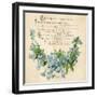 Plants, Myosotis-null-Framed Art Print