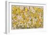 Plants, Narcissus Species-John Allen-Framed Art Print