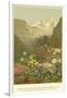 Plants of the Alpine Region, the North Limestone Alps-null-Framed Giclee Print