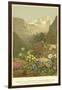 Plants of the Alpine Region, the North Limestone Alps-null-Framed Giclee Print