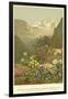 Plants of the Alpine Region, the North Limestone Alps-null-Framed Giclee Print