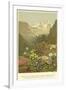 Plants of the Alpine Region, the North Limestone Alps-null-Framed Premium Giclee Print