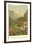 Plants of the Alpine Region, the North Limestone Alps-null-Framed Premium Giclee Print