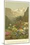 Plants of the Alpine Region, the North Limestone Alps-null-Mounted Premium Giclee Print