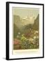 Plants of the Alpine Region, the North Limestone Alps-null-Framed Giclee Print