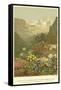 Plants of the Alpine Region, the North Limestone Alps-null-Framed Stretched Canvas