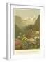 Plants of the Alpine Region, the North Limestone Alps-null-Framed Giclee Print