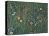 Plants of the Machair, 2008-Ruth Addinall-Stretched Canvas