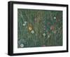 Plants of the Machair, 2008-Ruth Addinall-Framed Giclee Print