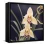 Plants, Orchid-null-Framed Stretched Canvas