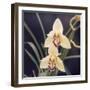 Plants, Orchid-null-Framed Photographic Print