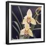 Plants, Orchid-null-Framed Photographic Print