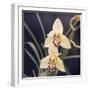 Plants, Orchid-null-Framed Photographic Print