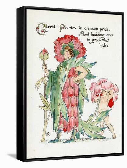 Plants, Paeonia-Walter Crane-Framed Stretched Canvas
