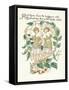 Plants, Rosa Species-Walter Crane-Framed Stretched Canvas