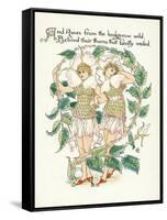 Plants, Rosa Species-Walter Crane-Framed Stretched Canvas