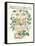 Plants, Rosa Species-Walter Crane-Framed Stretched Canvas