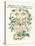 Plants, Rosa Species-Walter Crane-Stretched Canvas