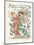 Plants, Rosa-Walter Crane-Mounted Art Print