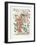 Plants, Rosa-Walter Crane-Framed Art Print