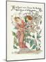 Plants, Rosa-Walter Crane-Mounted Art Print