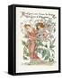 Plants, Rosa-Walter Crane-Framed Stretched Canvas